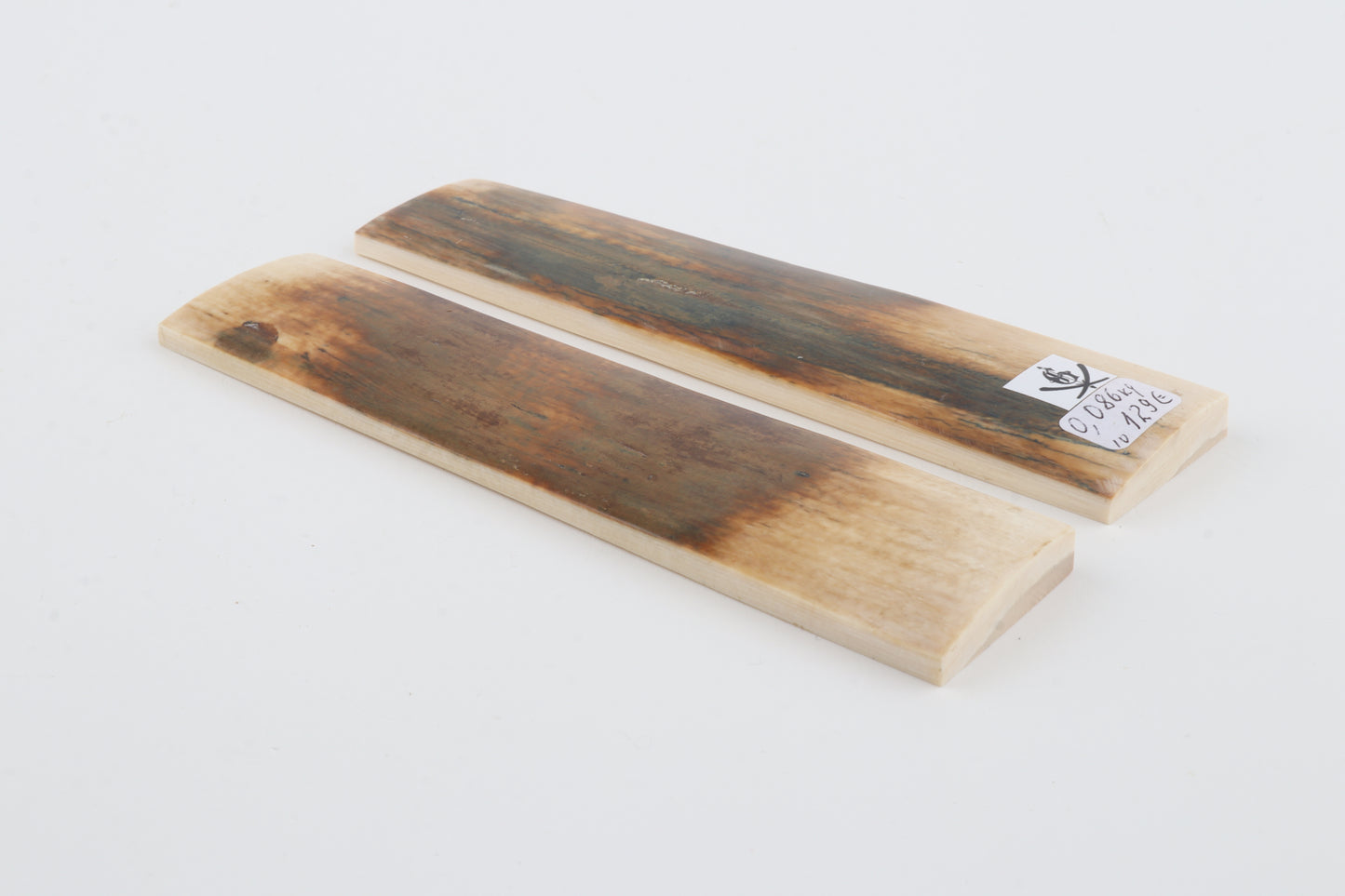 Natural mammoth bark scales