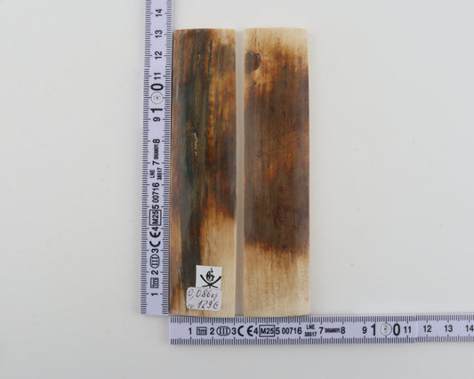 Natural mammoth bark scales