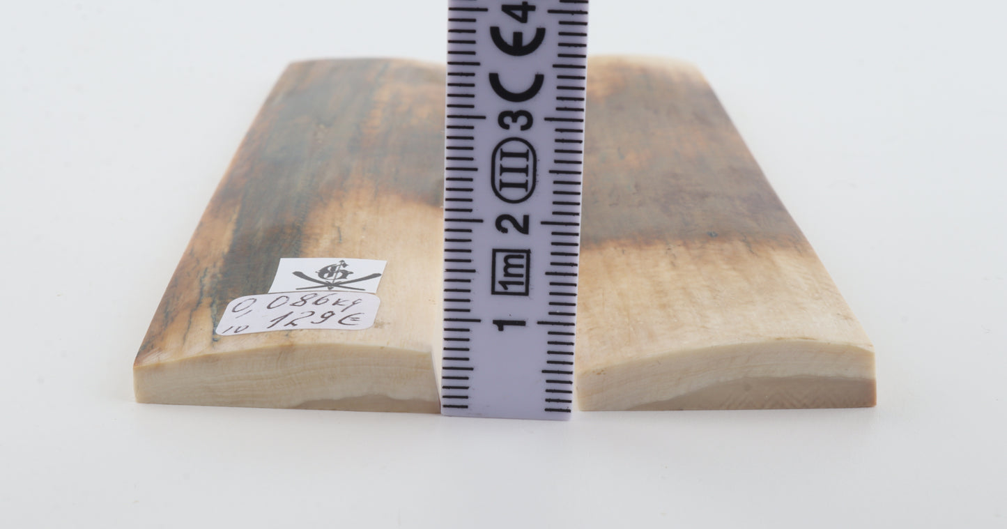 Natural mammoth bark scales