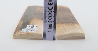 Natural mammoth bark scales