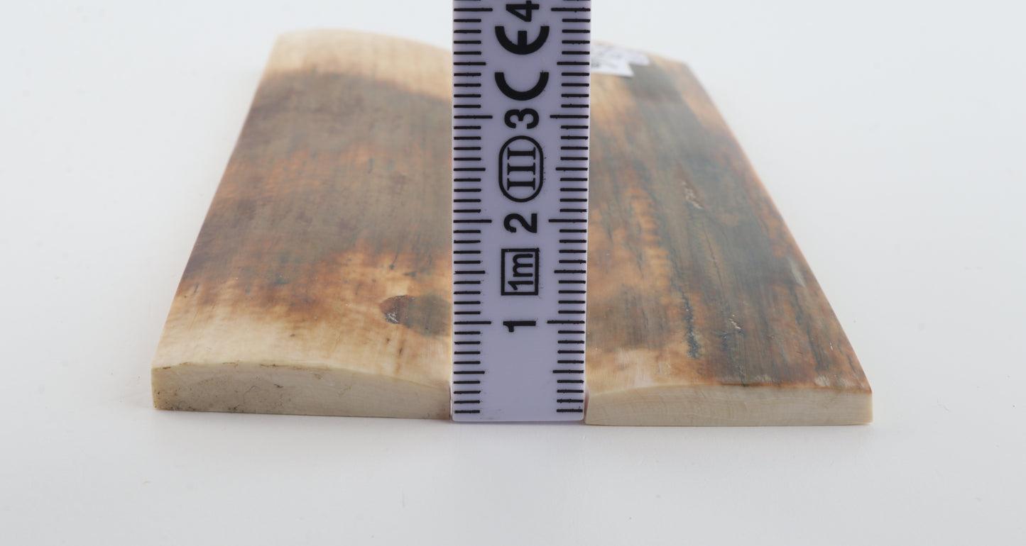 Natural mammoth bark scales