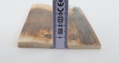 Natural mammoth bark scales