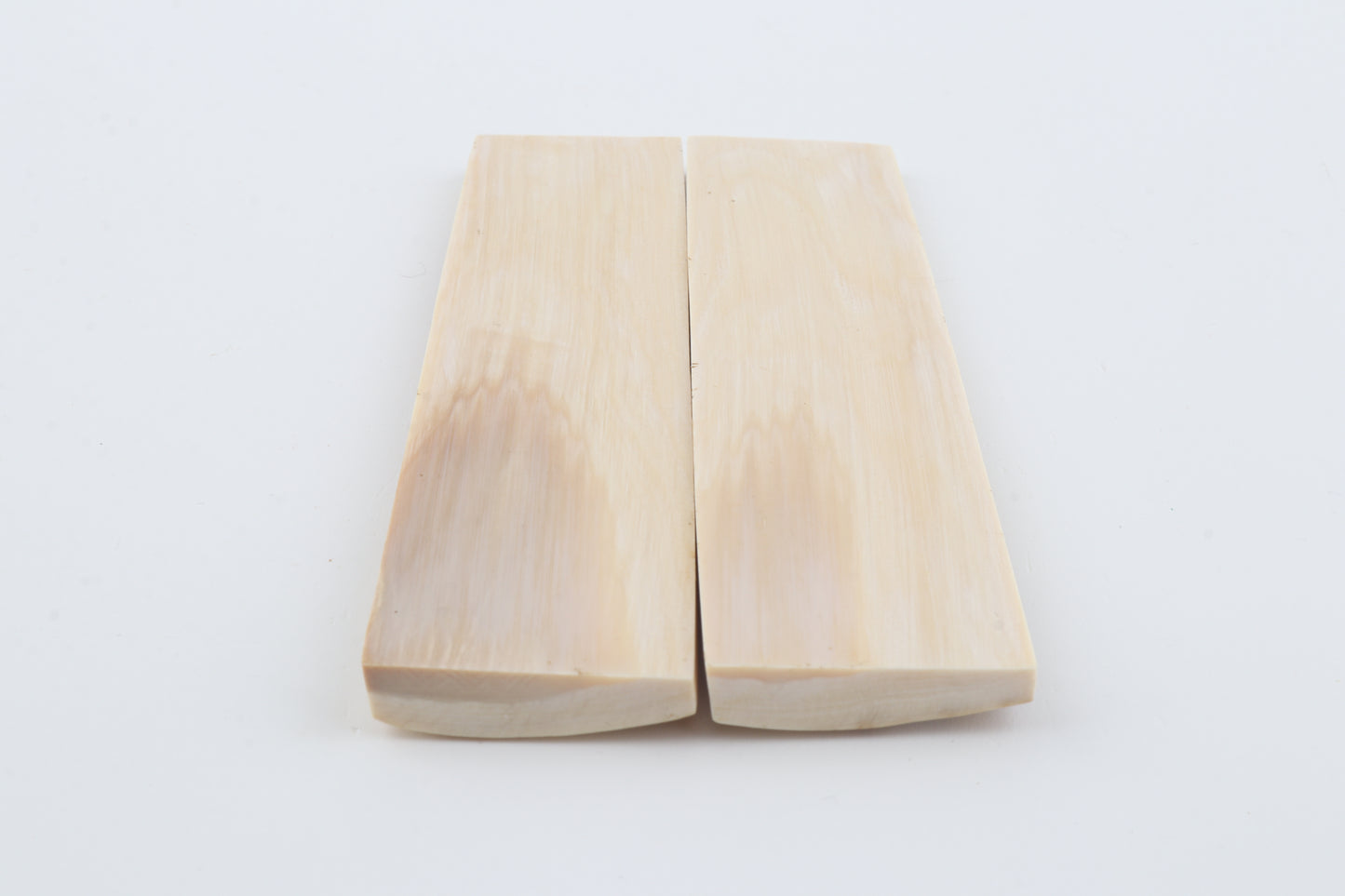 Natural mammoth bark scales