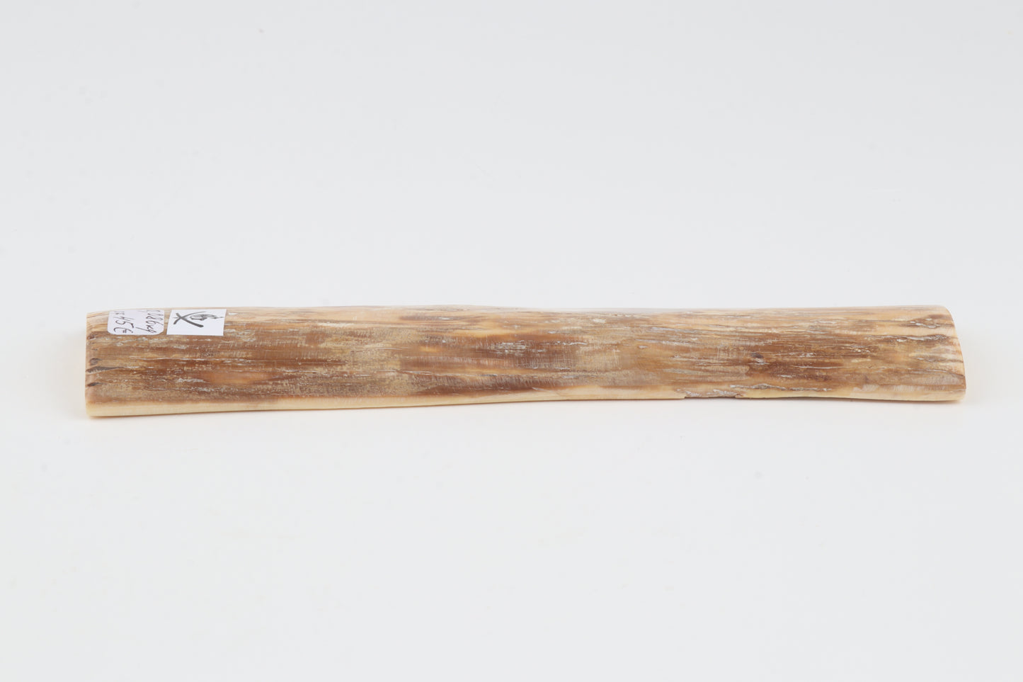 Beige-orange mammoth bark