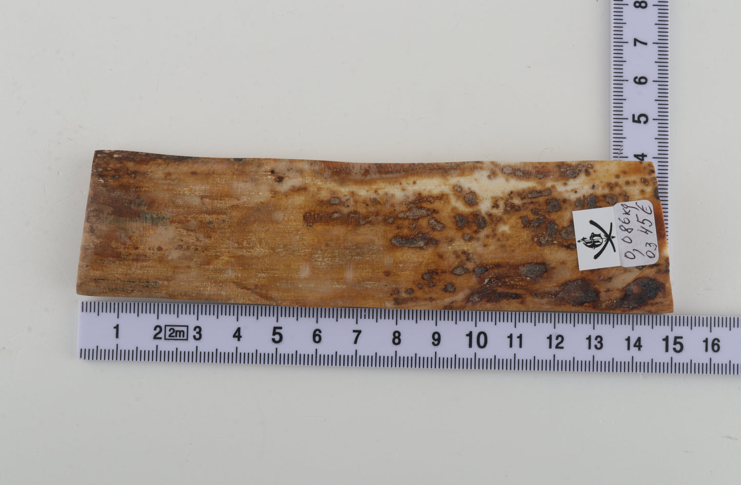 Beige mammoth bark