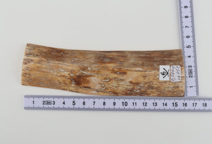 Beige-orange mammoth bark