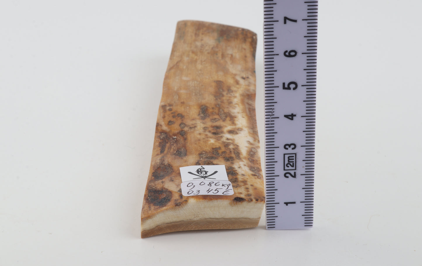 Beige mammoth bark