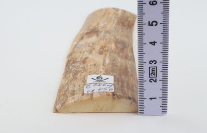 Beige-orange mammoth bark