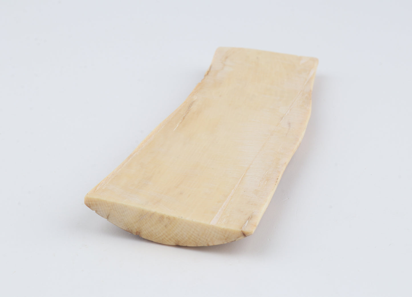 Beige-orange mammoth bark