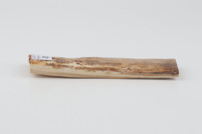 Beige mammoth bark
