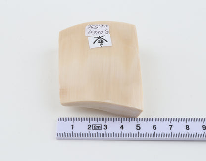 White mammoth ivory segment