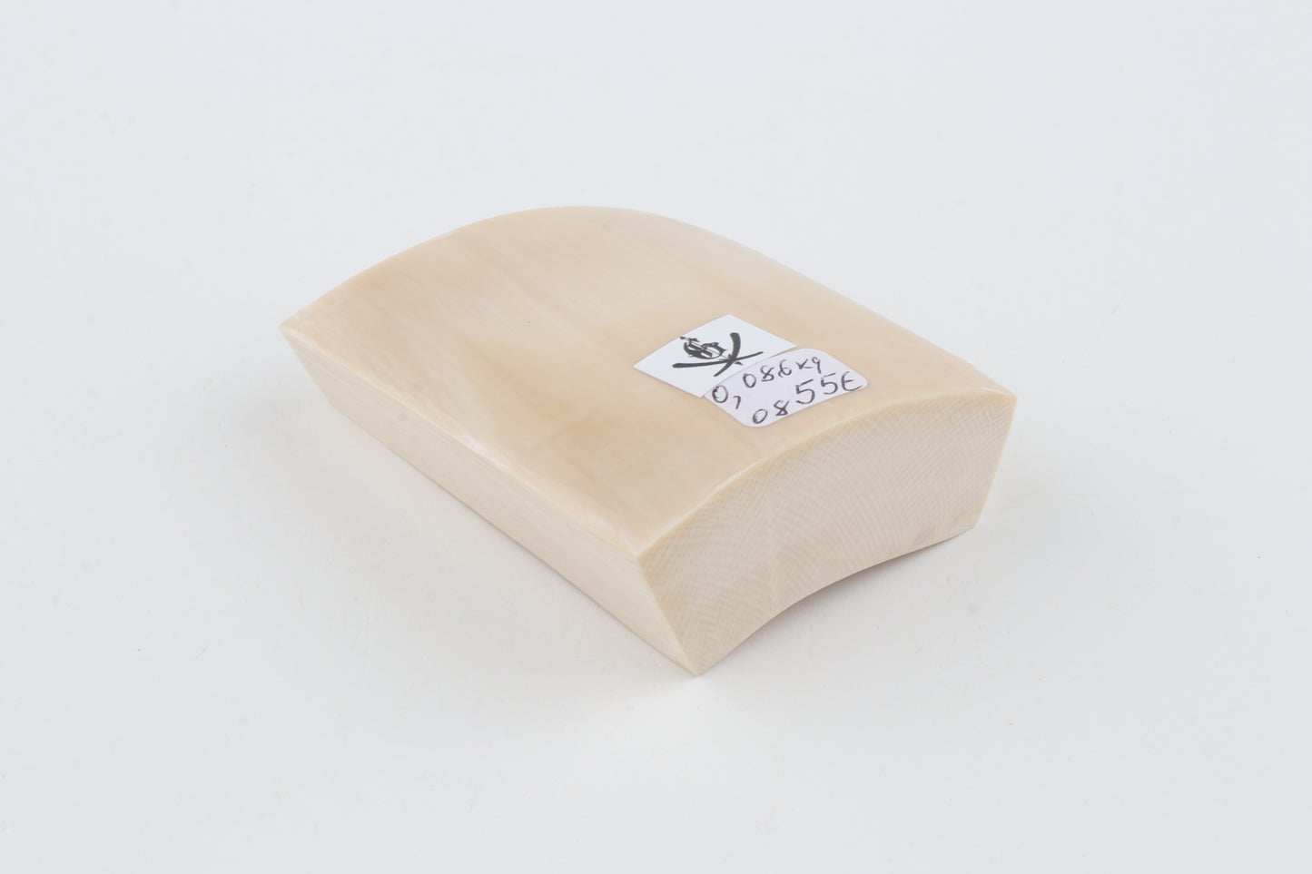 White mammoth ivory segment