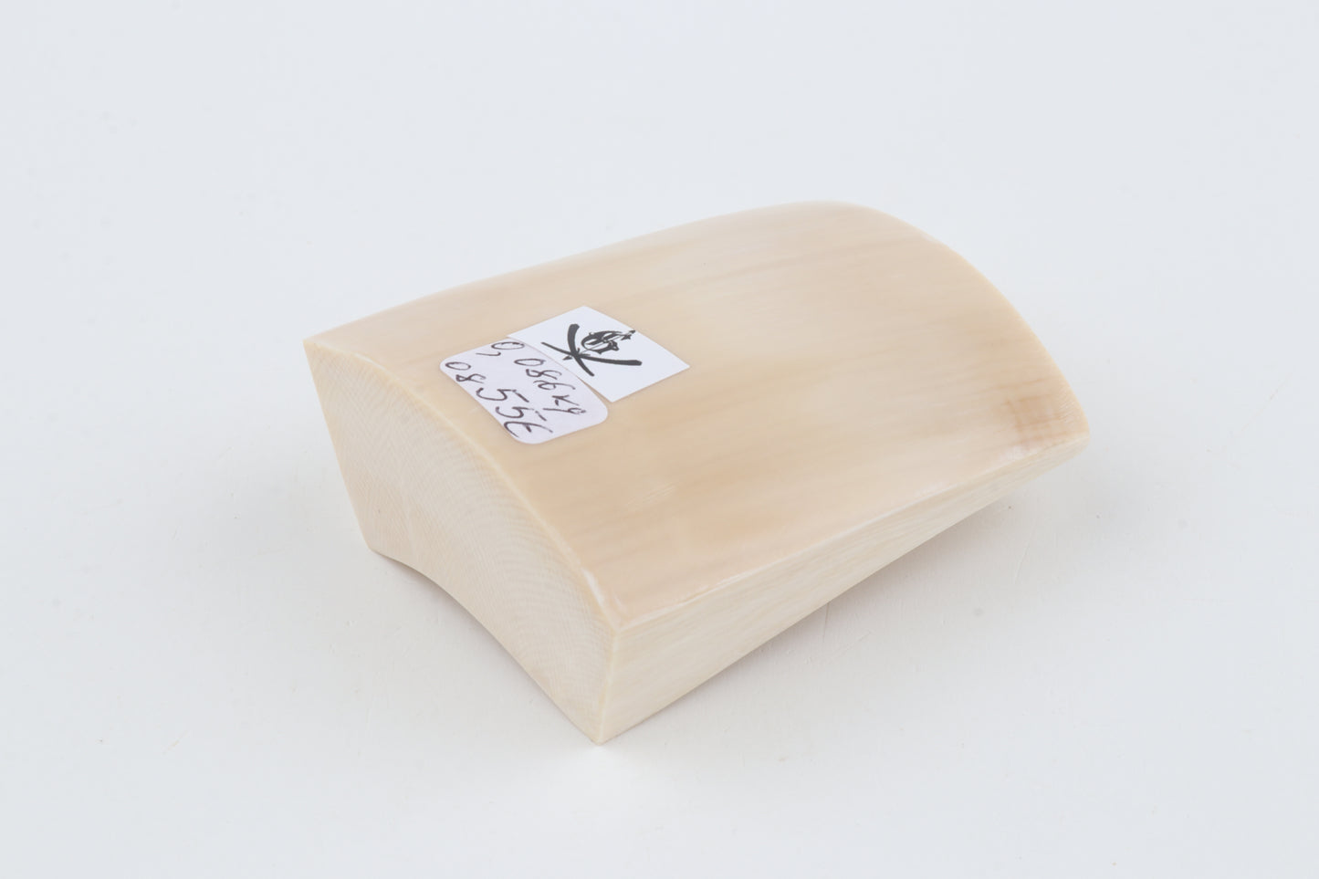 White mammoth ivory segment