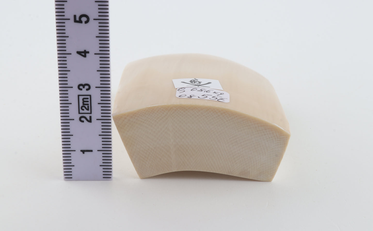 White mammoth ivory segment