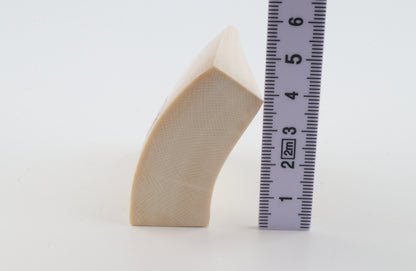 White mammoth ivory segment