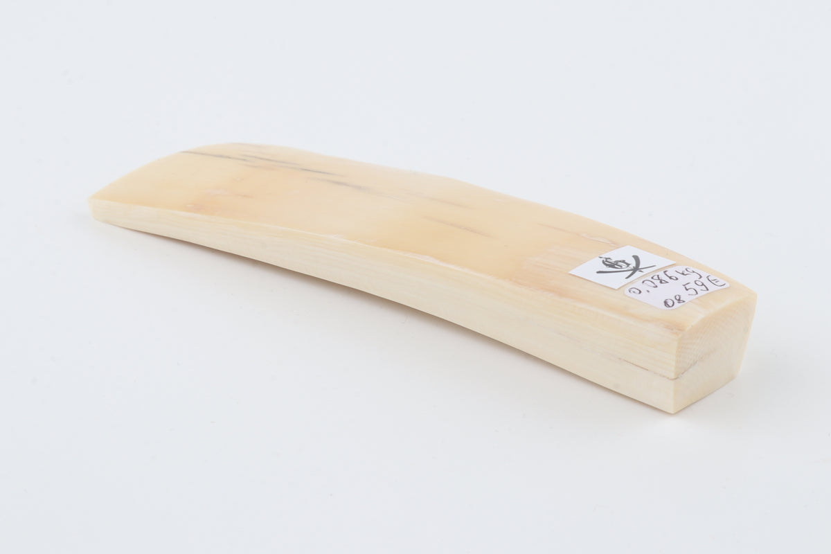 Natural mammoth ivory piece