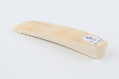 Natural mammoth ivory piece
