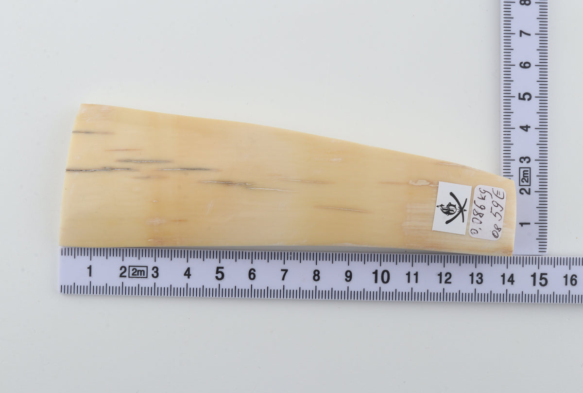 Natural mammoth ivory piece