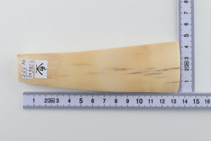 Natural mammoth ivory piece