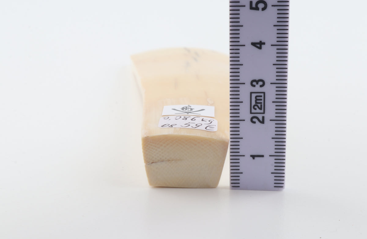 Natural mammoth ivory piece