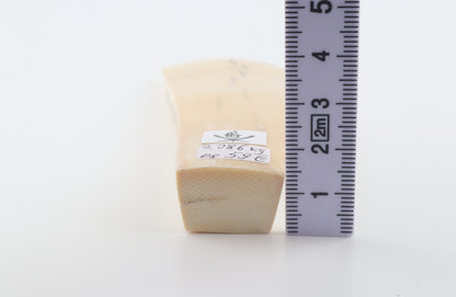 Natural mammoth ivory piece