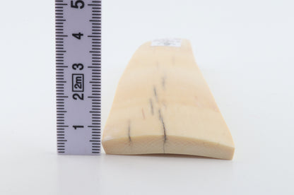 Natural mammoth ivory piece