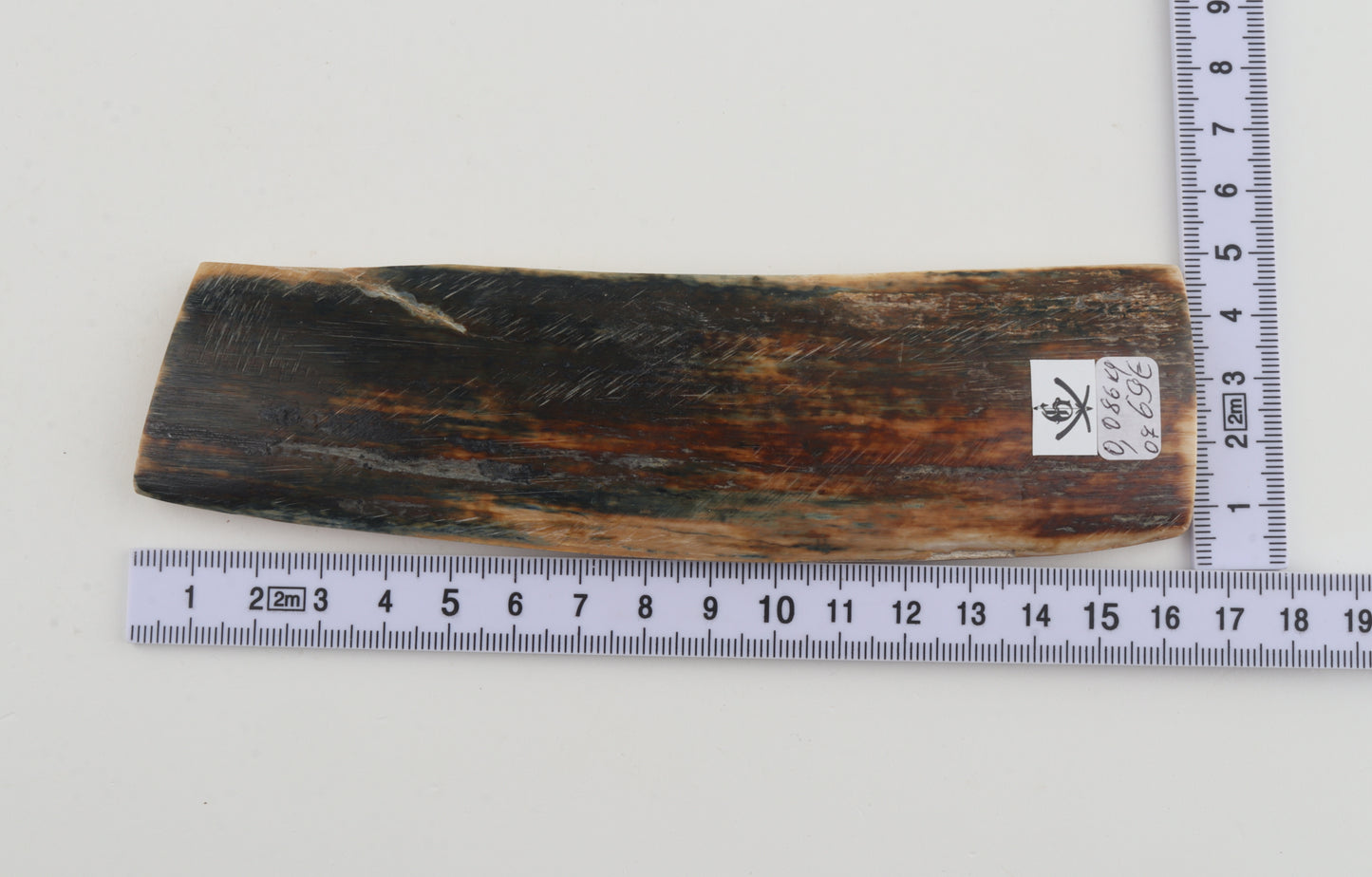 Brown-blue mammoth bark