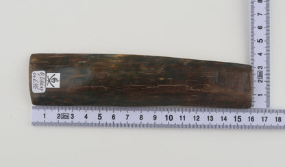 Natural woolly mammoth bark