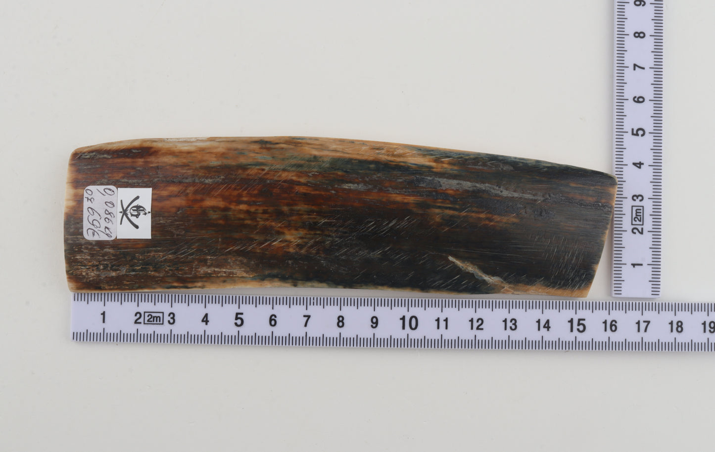 Brown-blue mammoth bark