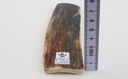 Brown-blue mammoth bark