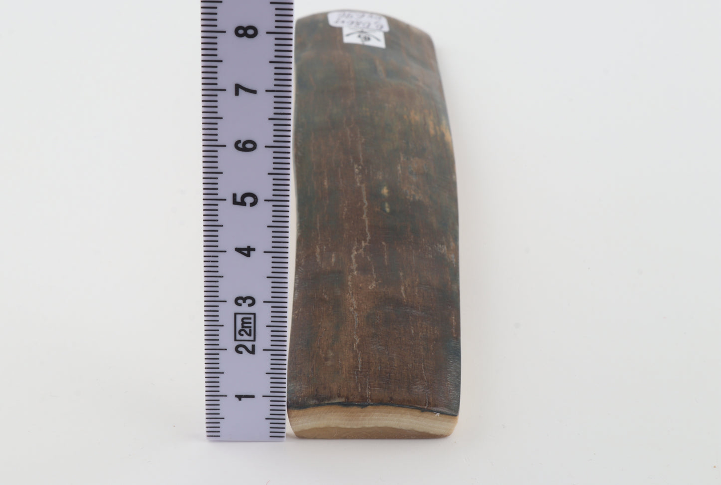 Natural woolly mammoth bark