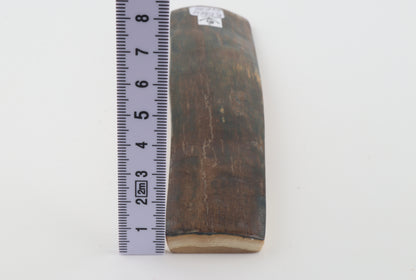 Natural woolly mammoth bark