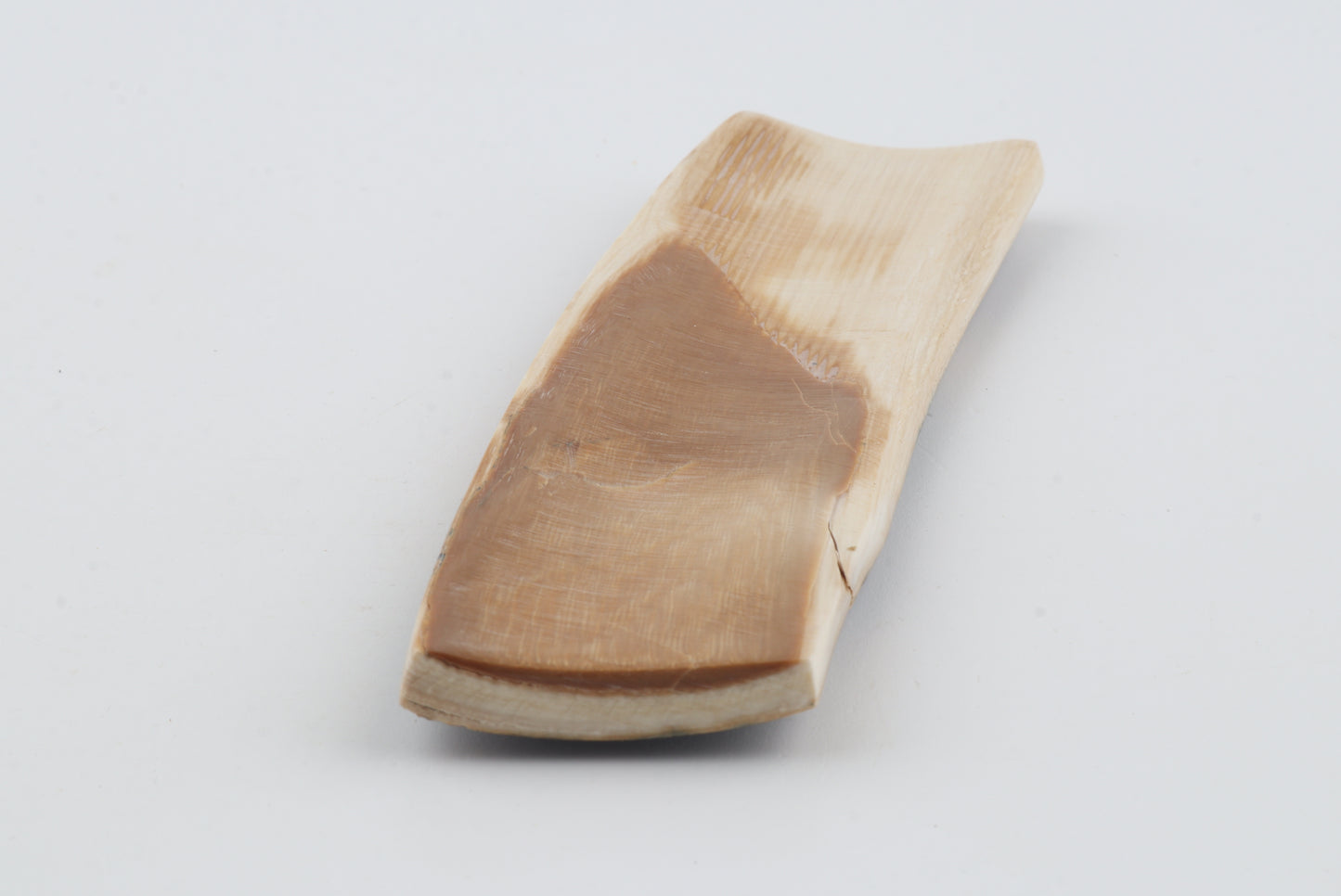 Brown-blue mammoth bark