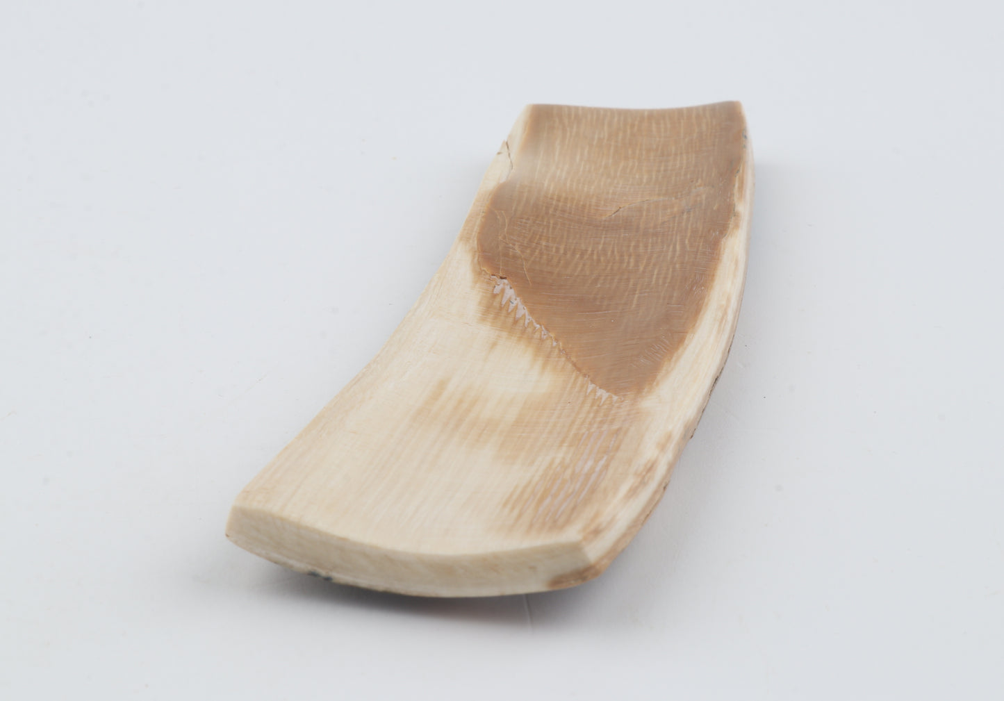 Brown-blue mammoth bark