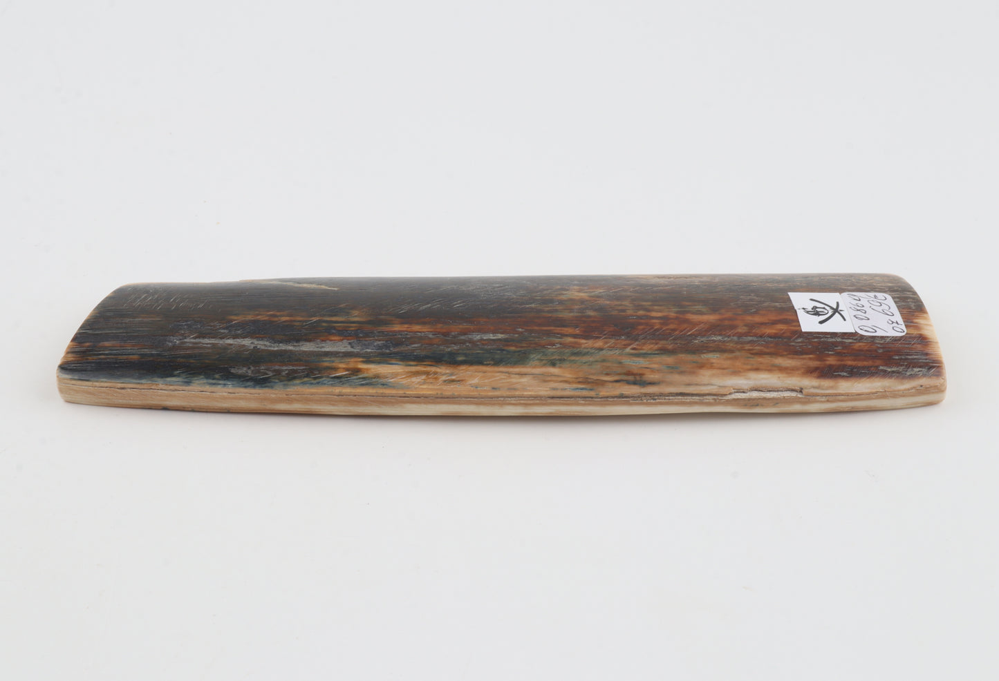 Brown-blue mammoth bark