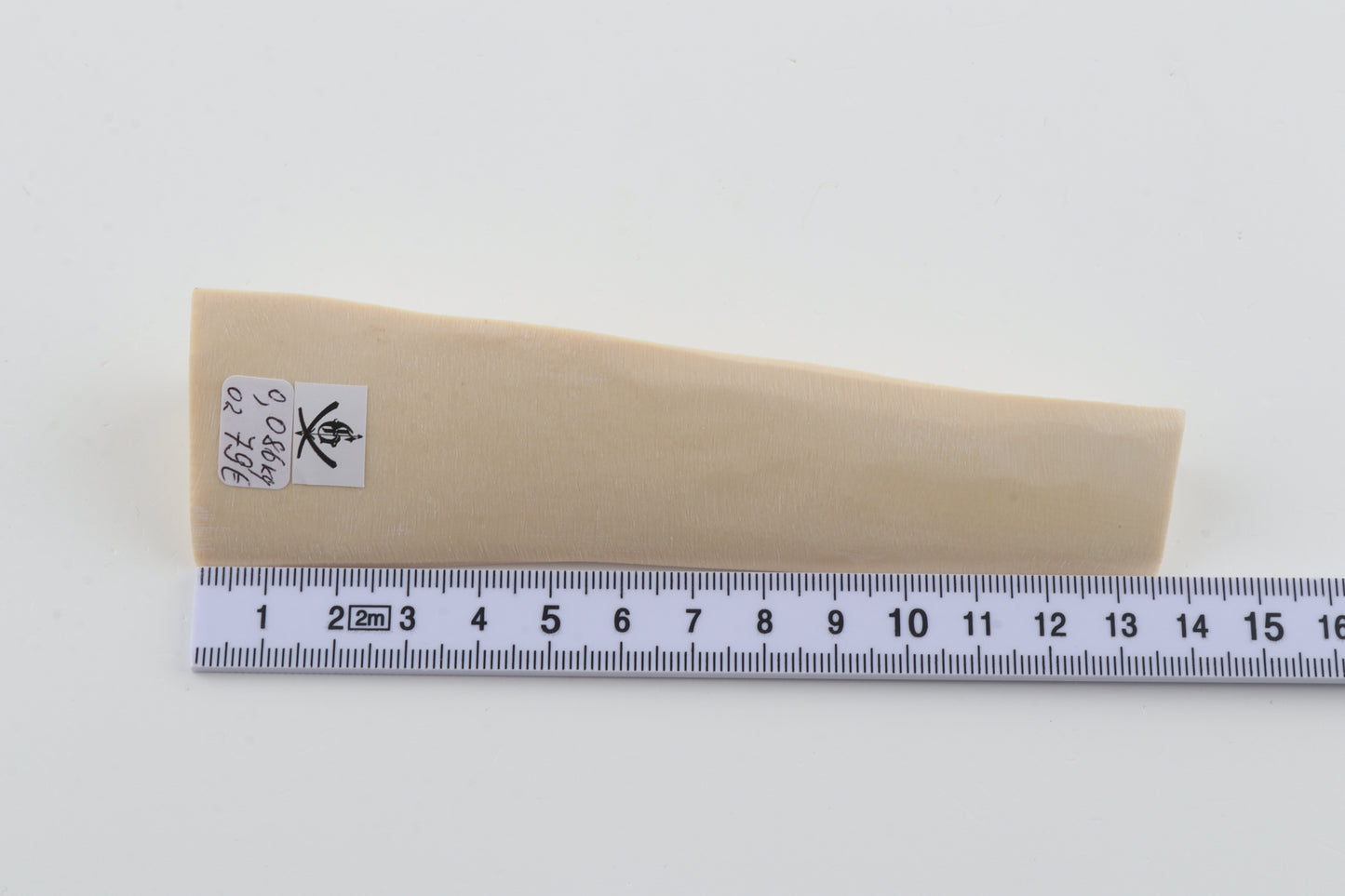 White mammoth ivory segment