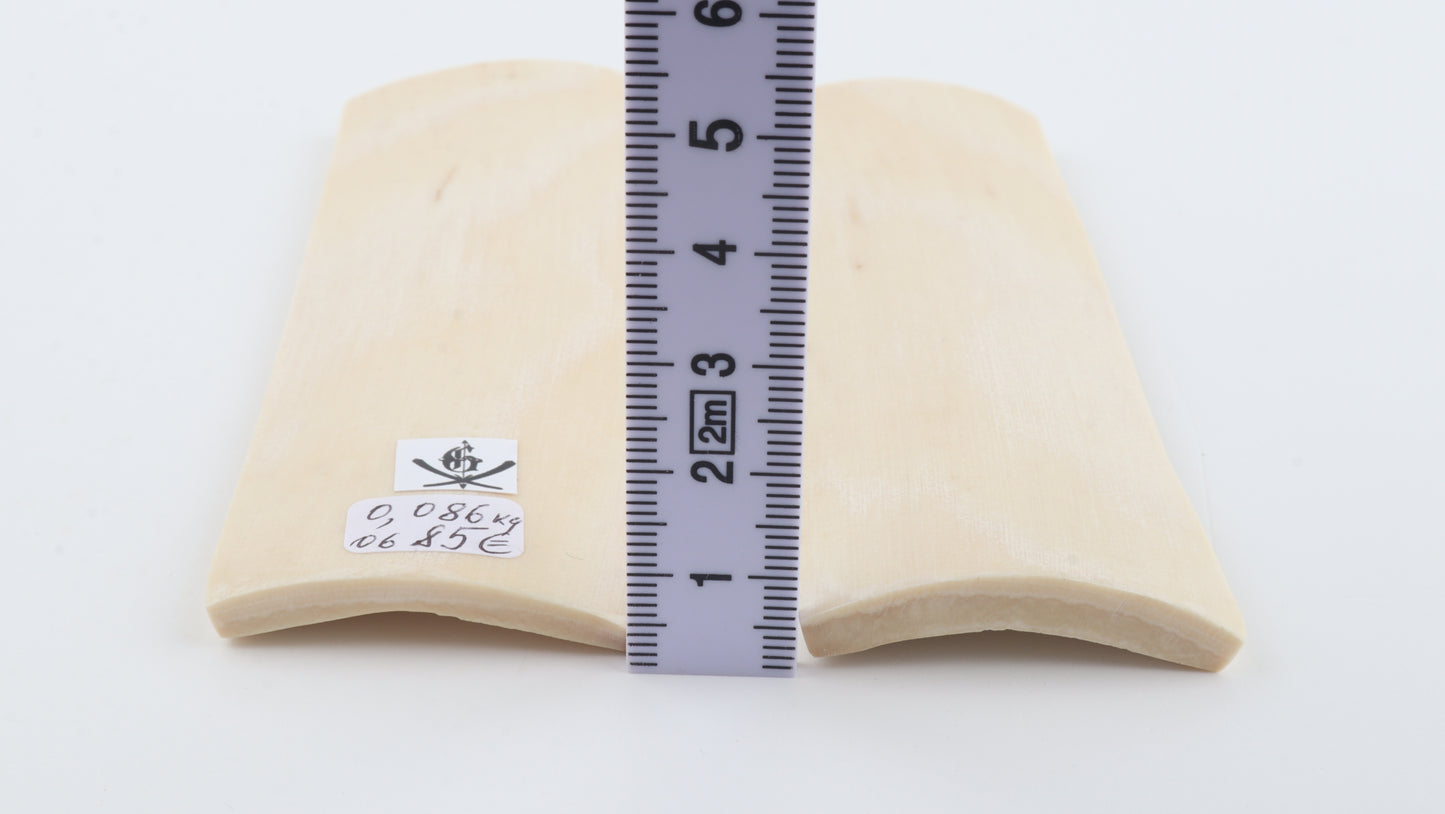 Natural mammoth bark scales