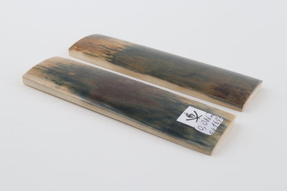 Natural mammoth bark scales