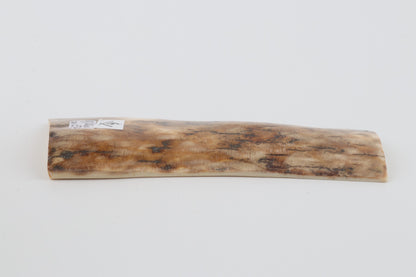 Beige mammoth bark