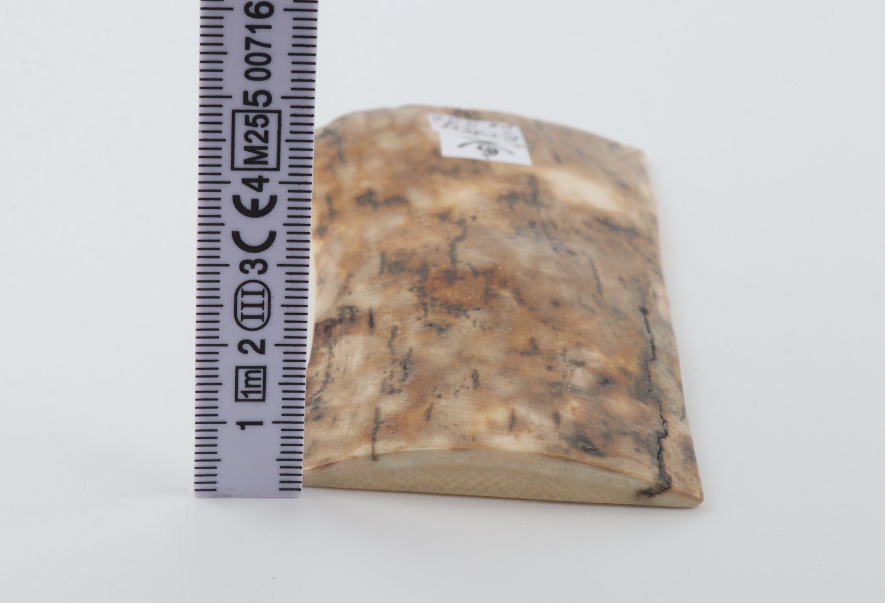 Beige mammoth bark