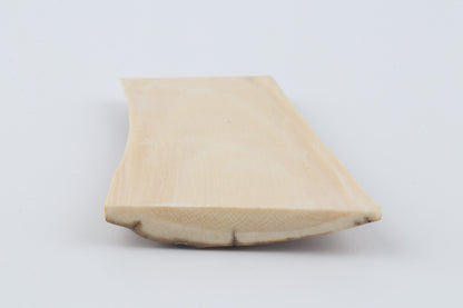 Beige mammoth bark