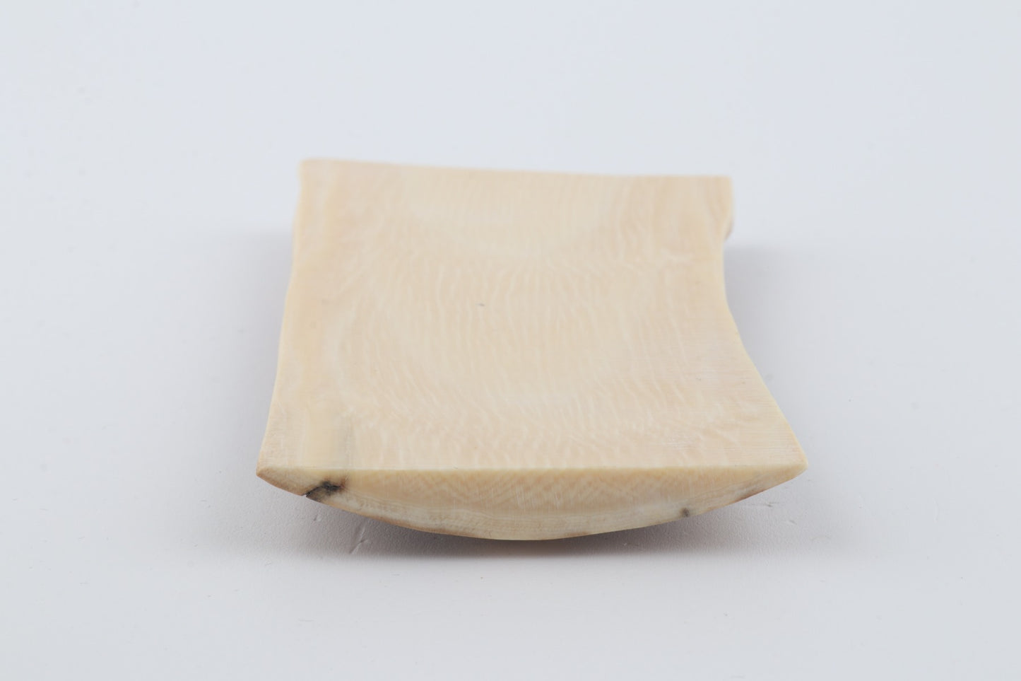 Beige mammoth bark