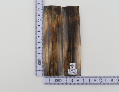 Natural mammoth bark scales