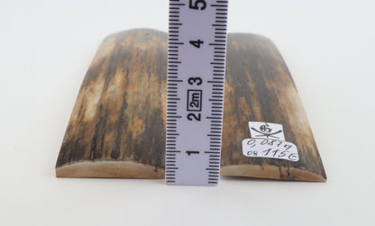 Natural mammoth bark scales