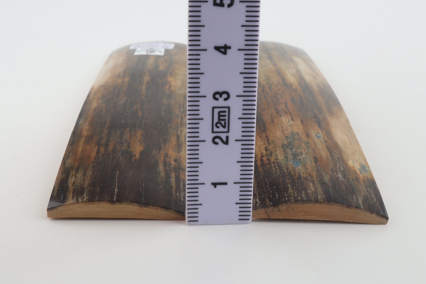 Natural mammoth bark scales