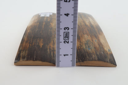 Natural mammoth bark scales