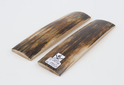 Natural mammoth bark scales