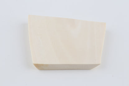 White mammoth ivory segment