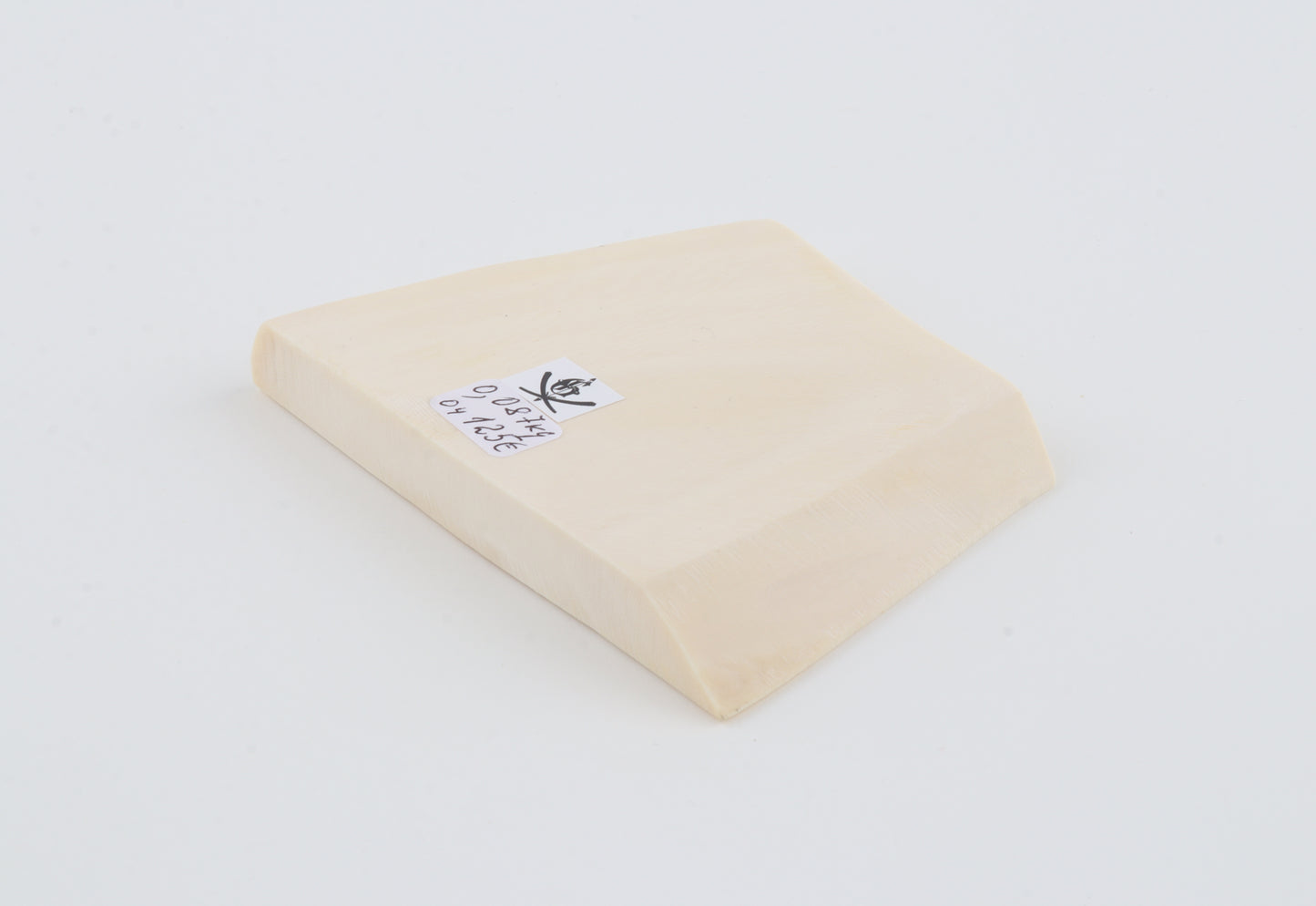 White mammoth ivory segment