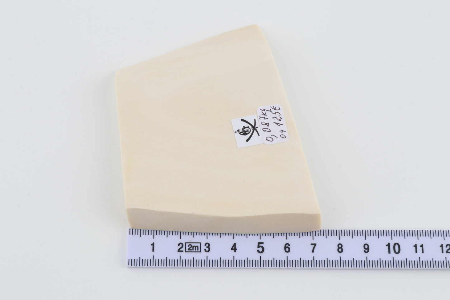 White mammoth ivory segment